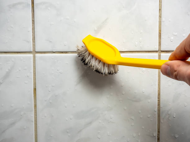 Best Mold Remediation for Schools in Durand, MI