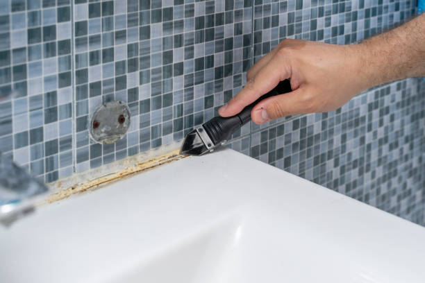 Best Residential Mold Remediation in Durand, MI
