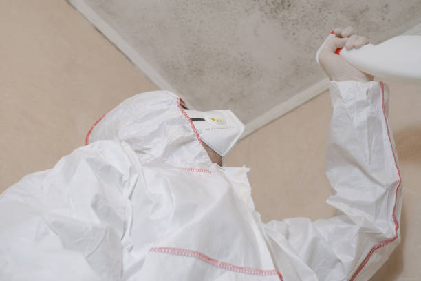 Best Crawl Space Mold Remediation in Durand, MI